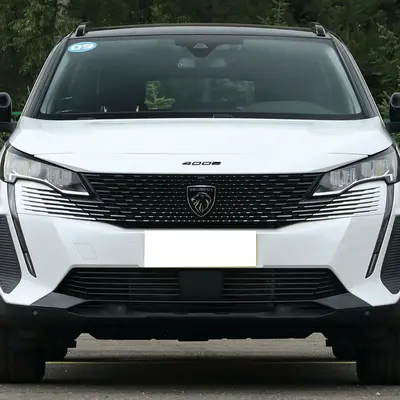 24414103_300